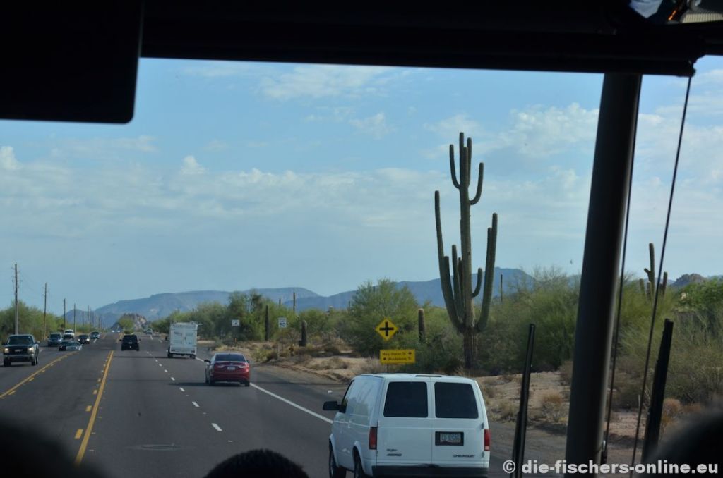 Anstatt Bäume findet man Kakteen am Wegesrand
Über die Mojave-Wüste geht's der ersten Etappe entgegen. Am Wegesrand findet man hier sehr viele, mehrere Meter hohe Saguarokakteen (Carnegiea gigantea).
