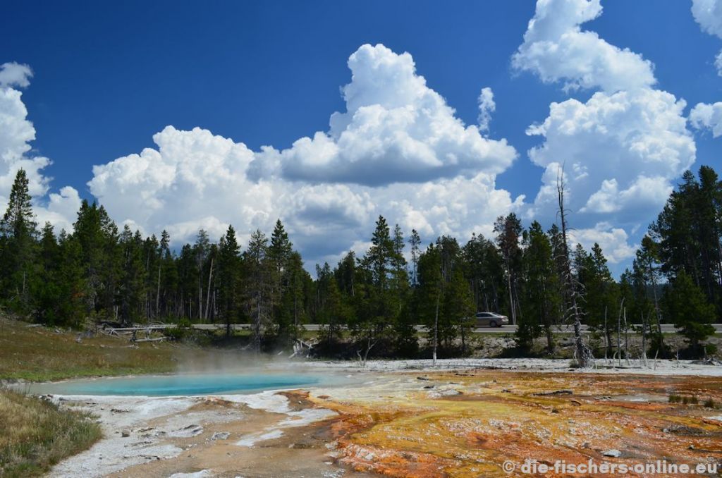 Yellowstone: Farbspiel der Natur am Silex Pool
Der Silex Pool befindet sich im Lower Geyser Basin. Die Färbung des Wassers kommt durch die darin lebenden Bakterien zustande. 
