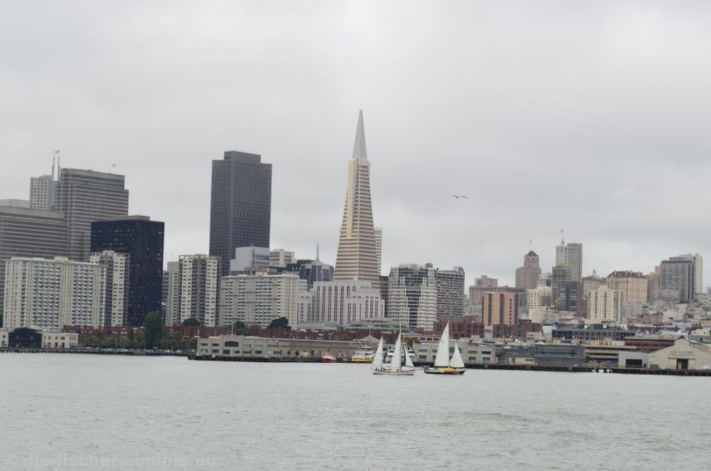 San Francisco: Skyline von der Bay aus
Das Wetter war zwar immer noch grau in grau, aber dafür regnete es nicht. In der Bildmitte das höchste Gebäude in San Francisco: die Transamerica Pyramid mit 48 Stockwerken und einer Höhe von 260 Metern.
