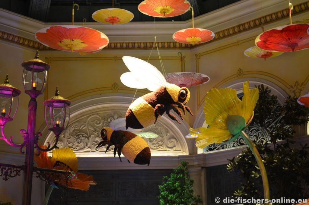 Las Vegas: Bumble Bee
Jedes Hotel versucht sich selbst zu Übertrumpfen - hier wurde eine überdimensionale Wiese geschaffen. Die Bienen bestehen aus mehreren tausenden Einzelblumen...
